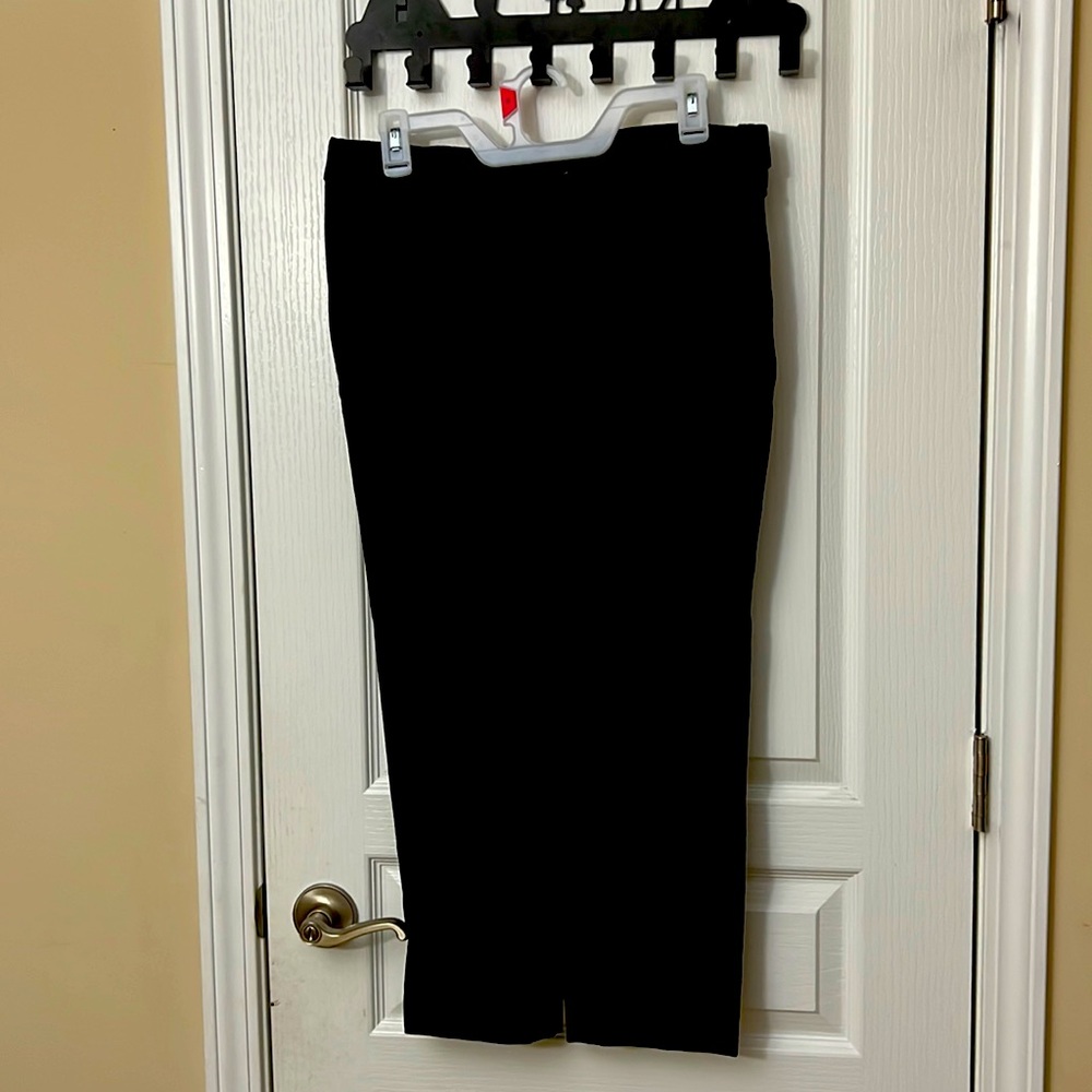 Woman Formal Pants- Park Avenue Brand. Straight Leg Size 10